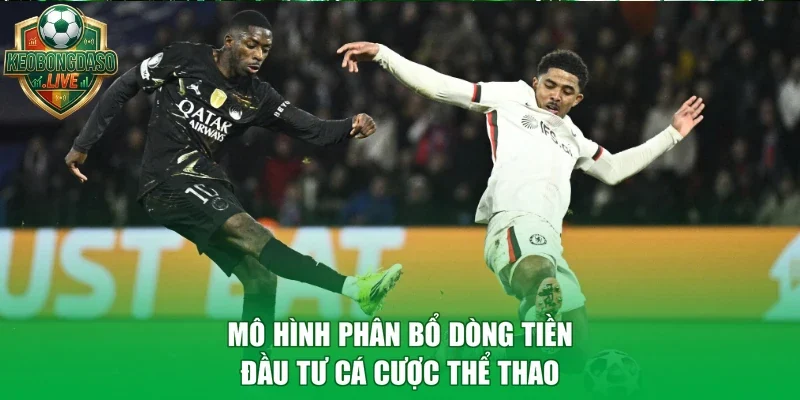 Mô hình phân bổ dòng tiền đầu tư cá cược thể thao